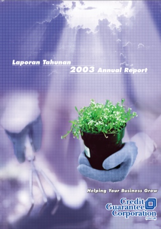 Annual Report 2003